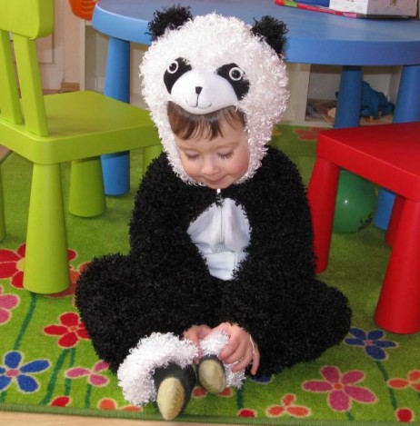 Großer Panda