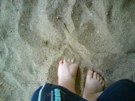 fuesse-da