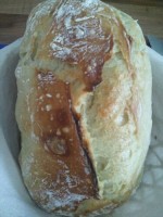 No-Knead-Bread No-Knead-Bread
