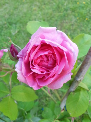 2014-06-06 20.34.09