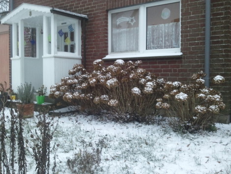 Schnee