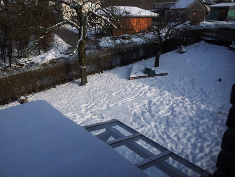Ausblick