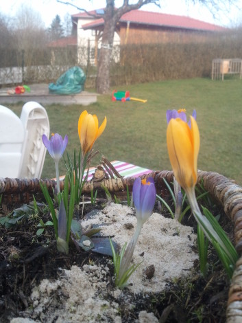 Frühling