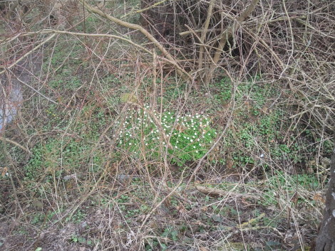 am Wegesrand