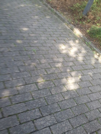 Sonne